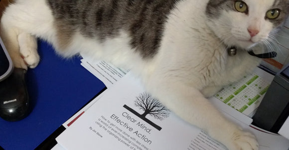 Bandar Cat - Clear Mind