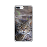 Tabby the Great Hunter iPhone Case -  for Iphone 6/6s, 6/6s Plus, 7/7 Plus, 8/8 Plus, X