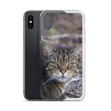 Tabby the Great Hunter iPhone Case -  for Iphone 6/6s, 6/6s Plus, 7/7 Plus, 8/8 Plus, X