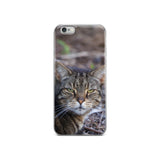 Tabby the Great Hunter iPhone Case -  for Iphone 6/6s, 6/6s Plus, 7/7 Plus, 8/8 Plus, X