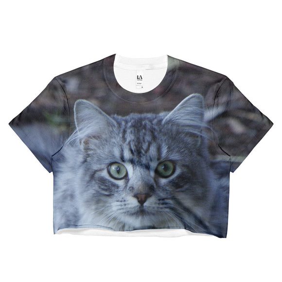 The Watchful Cat - Womens Crop Top Shirt