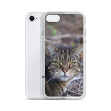 Tabby the Great Hunter iPhone Case -  for Iphone 6/6s, 6/6s Plus, 7/7 Plus, 8/8 Plus, X