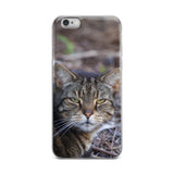 Tabby the Great Hunter iPhone Case -  for Iphone 6/6s, 6/6s Plus, 7/7 Plus, 8/8 Plus, X