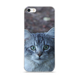 The Watchful Cat iPhone Case - suitable for iPhone 6/6s, 6/6s Plus, 7/7 Plus, 8/8 Plus, X
