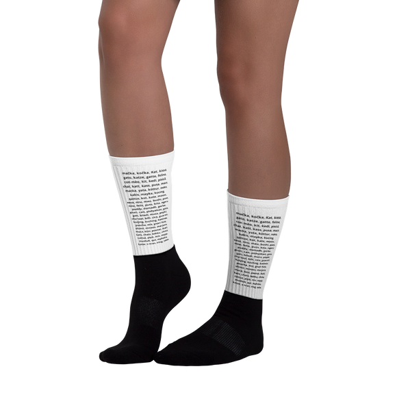 The Name of the Cat - Socks