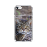 Tabby the Great Hunter iPhone Case -  for Iphone 6/6s, 6/6s Plus, 7/7 Plus, 8/8 Plus, X