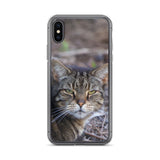 Tabby the Great Hunter iPhone Case -  for Iphone 6/6s, 6/6s Plus, 7/7 Plus, 8/8 Plus, X