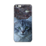 The Watchful Cat iPhone Case - suitable for iPhone 6/6s, 6/6s Plus, 7/7 Plus, 8/8 Plus, X