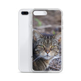 Tabby the Great Hunter iPhone Case -  for Iphone 6/6s, 6/6s Plus, 7/7 Plus, 8/8 Plus, X